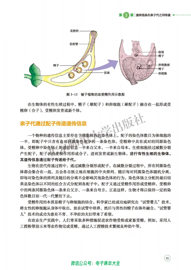 生物学必修2遗传与进化_高中三年全科资料_高中_高中电子教材_高中生物学_北师大