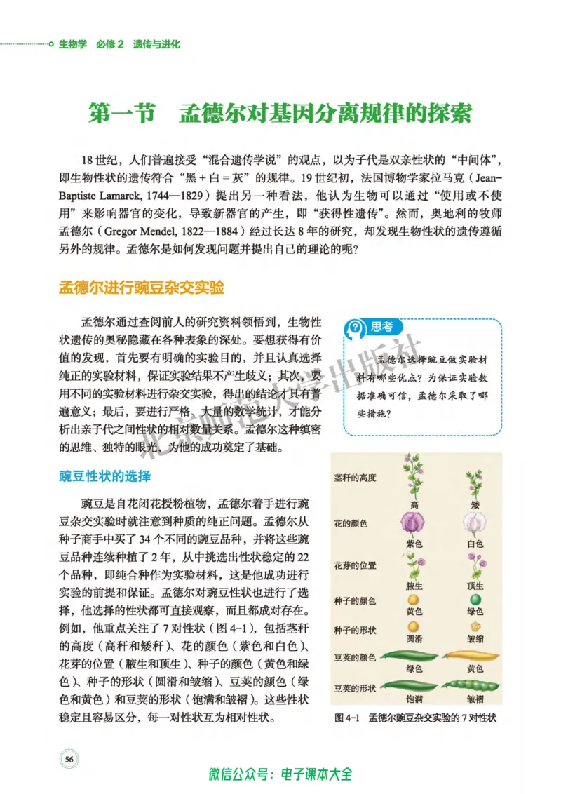 生物学必修2遗传与进化_高中三年全科资料_高中_高中电子教材_高中生物学_北师大