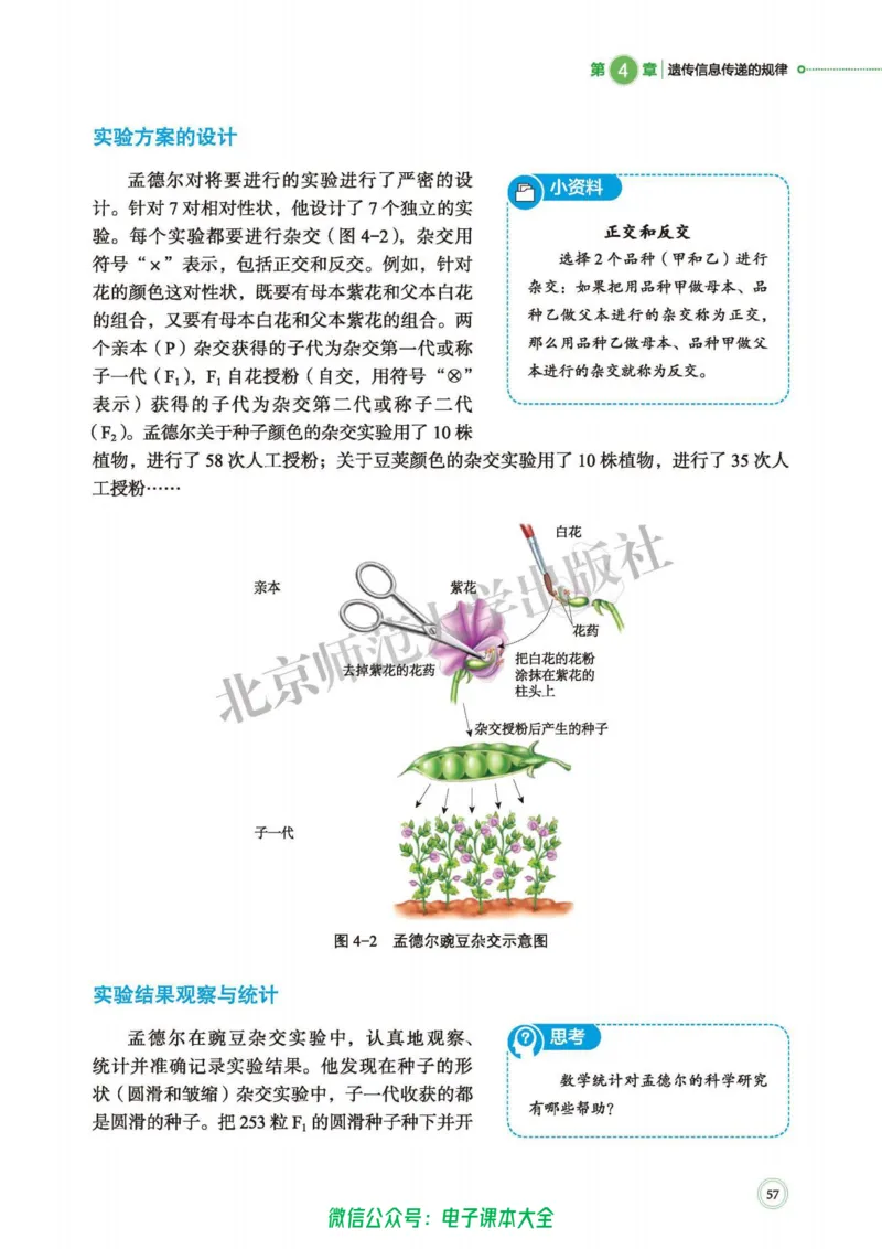 生物学必修2遗传与进化_高中三年全科资料_高中_高中电子教材_高中生物学_北师大