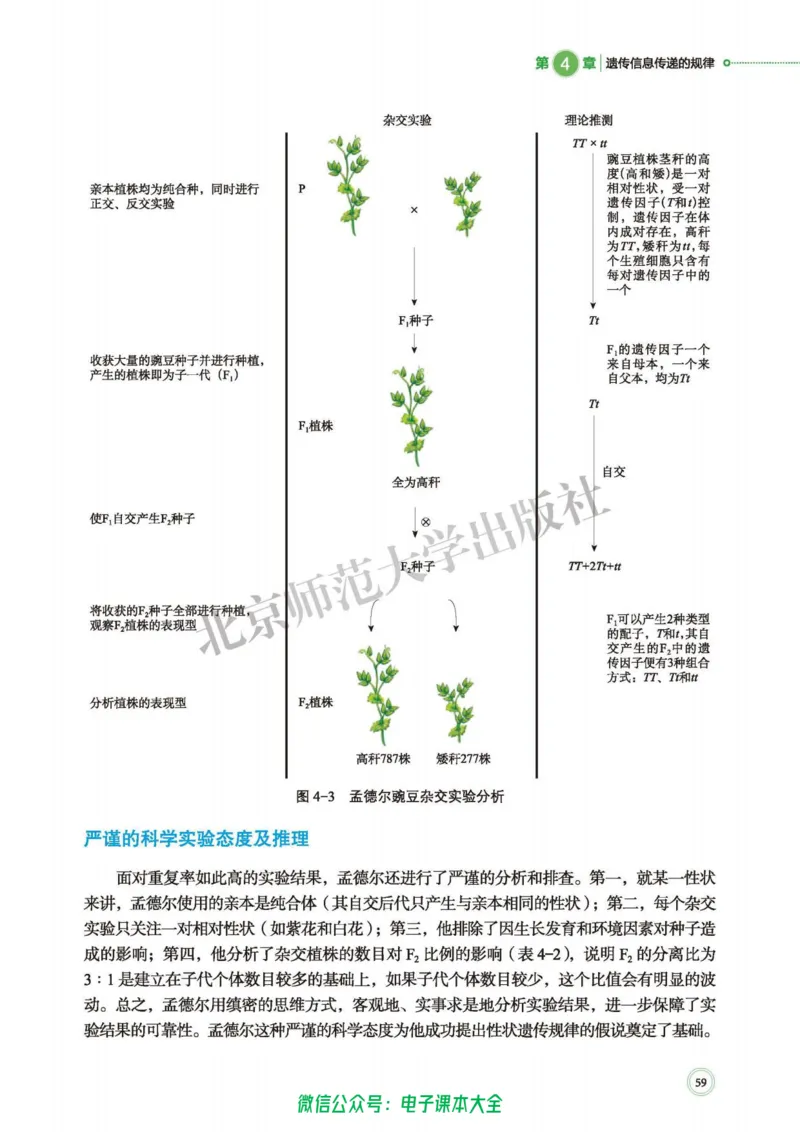 生物学必修2遗传与进化_高中三年全科资料_高中_高中电子教材_高中生物学_北师大