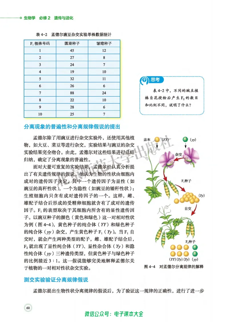 生物学必修2遗传与进化_高中三年全科资料_高中_高中电子教材_高中生物学_北师大