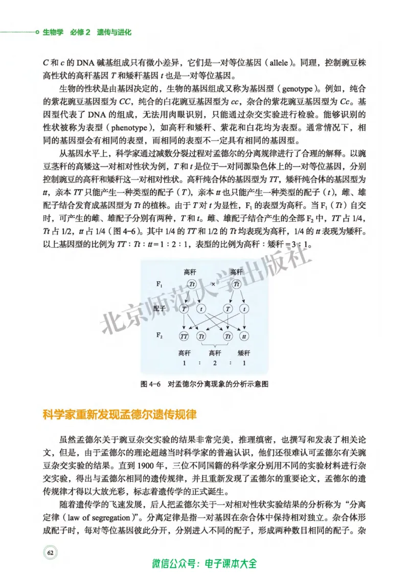 生物学必修2遗传与进化_高中三年全科资料_高中_高中电子教材_高中生物学_北师大