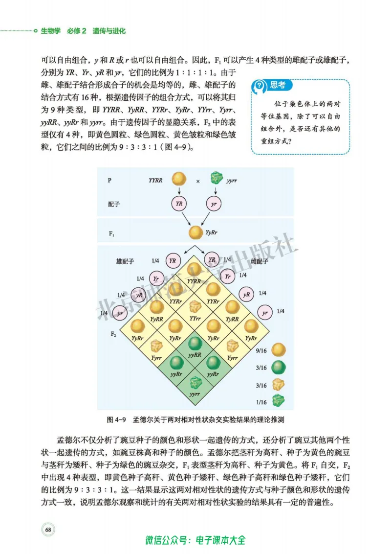 生物学必修2遗传与进化_高中三年全科资料_高中_高中电子教材_高中生物学_北师大