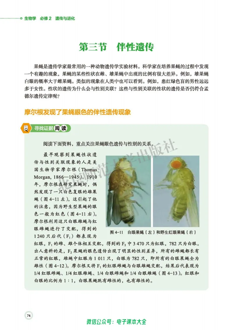 生物学必修2遗传与进化_高中三年全科资料_高中_高中电子教材_高中生物学_北师大