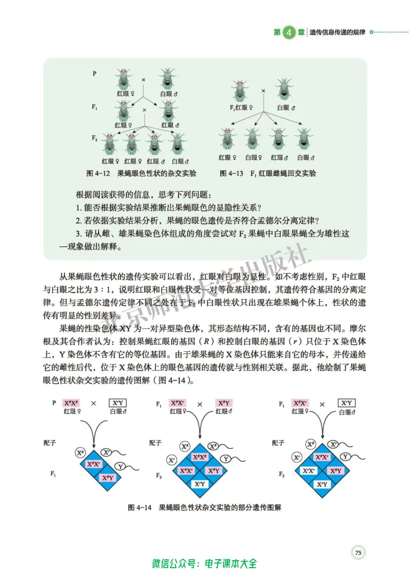 生物学必修2遗传与进化_高中三年全科资料_高中_高中电子教材_高中生物学_北师大