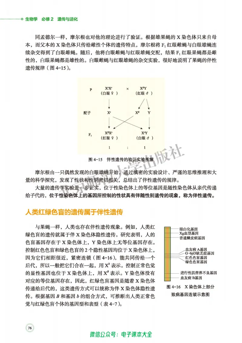 生物学必修2遗传与进化_高中三年全科资料_高中_高中电子教材_高中生物学_北师大
