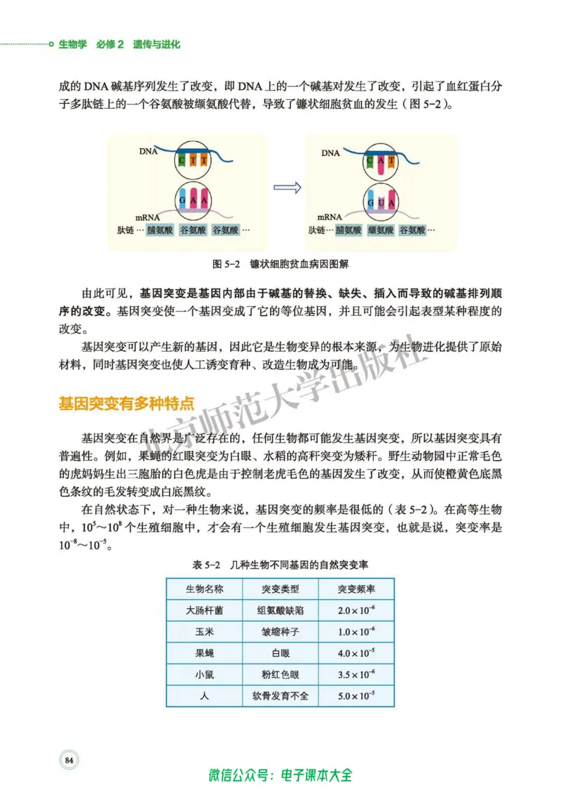 生物学必修2遗传与进化_高中三年全科资料_高中_高中电子教材_高中生物学_北师大
