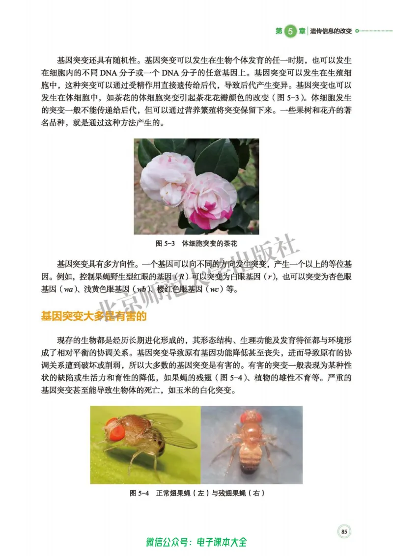 生物学必修2遗传与进化_高中三年全科资料_高中_高中电子教材_高中生物学_北师大