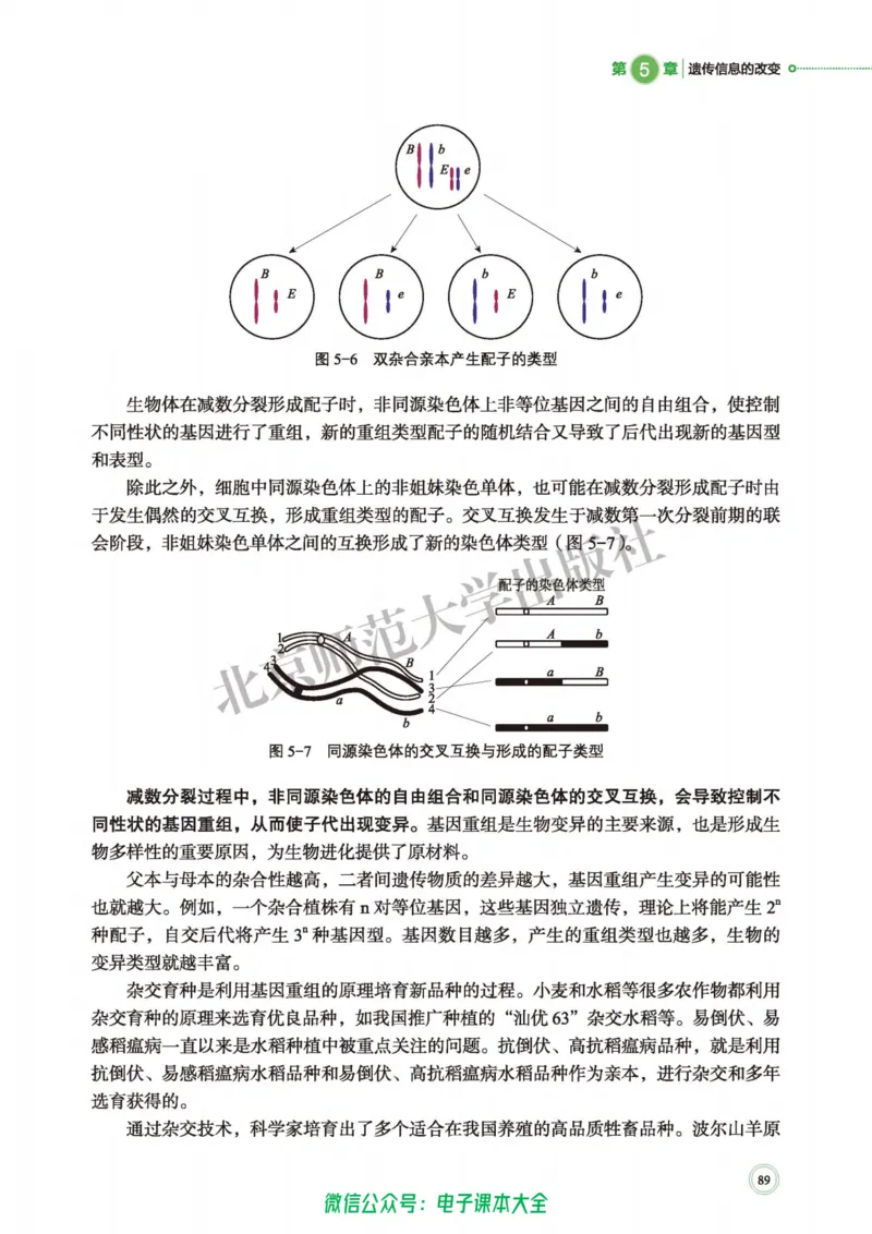 生物学必修2遗传与进化_高中三年全科资料_高中_高中电子教材_高中生物学_北师大