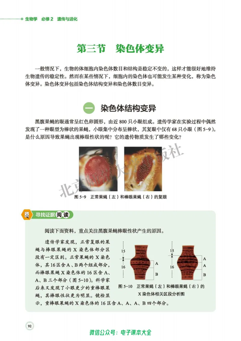 生物学必修2遗传与进化_高中三年全科资料_高中_高中电子教材_高中生物学_北师大