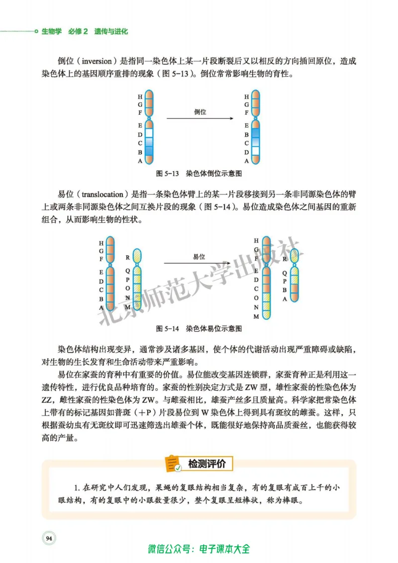 生物学必修2遗传与进化_高中三年全科资料_高中_高中电子教材_高中生物学_北师大