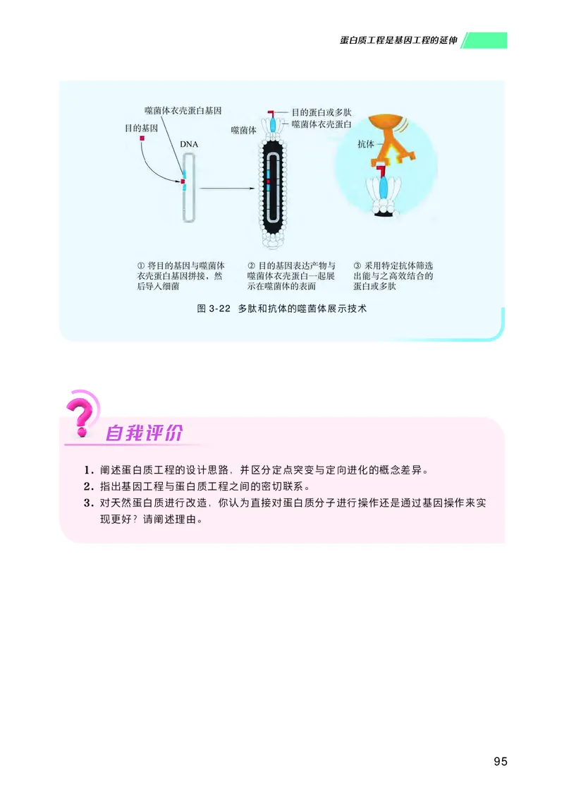 普通高中教科书生物学选择性必修3生物技术与工程_高中三年全科资料_高中_高中电子教材_高中生物学_沪科技版