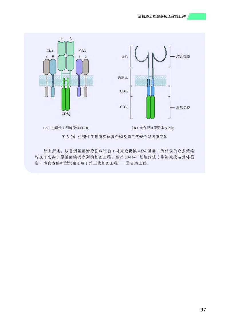普通高中教科书生物学选择性必修3生物技术与工程_高中三年全科资料_高中_高中电子教材_高中生物学_沪科技版