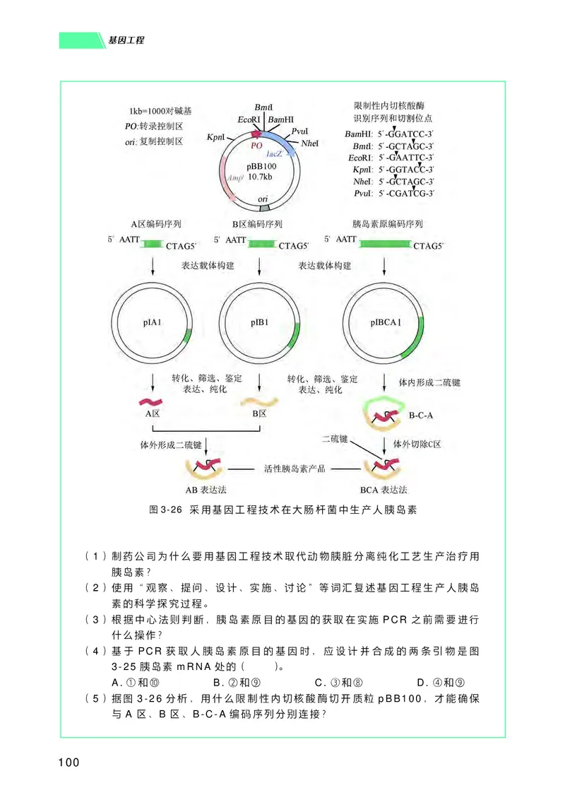 普通高中教科书生物学选择性必修3生物技术与工程_高中三年全科资料_高中_高中电子教材_高中生物学_沪科技版