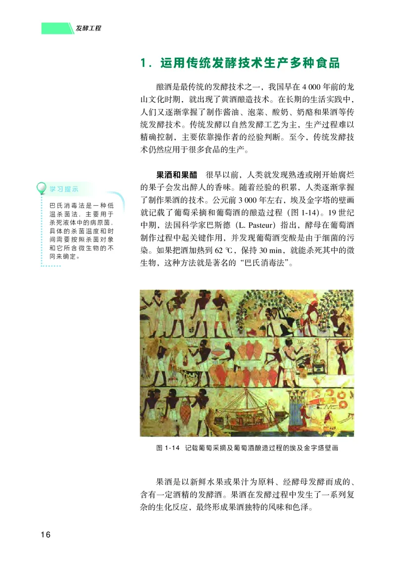 普通高中教科书生物学选择性必修3生物技术与工程_高中三年全科资料_高中_高中电子教材_高中生物学_沪科技版