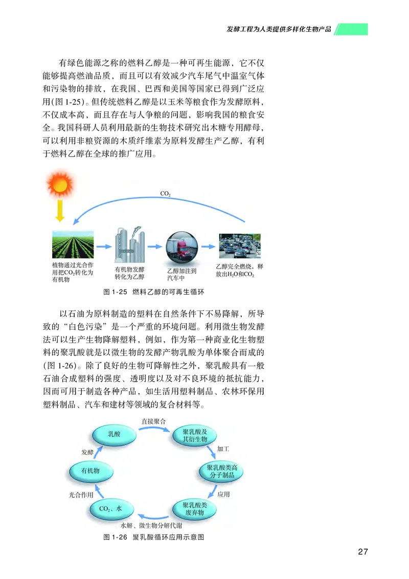 普通高中教科书生物学选择性必修3生物技术与工程_高中三年全科资料_高中_高中电子教材_高中生物学_沪科技版