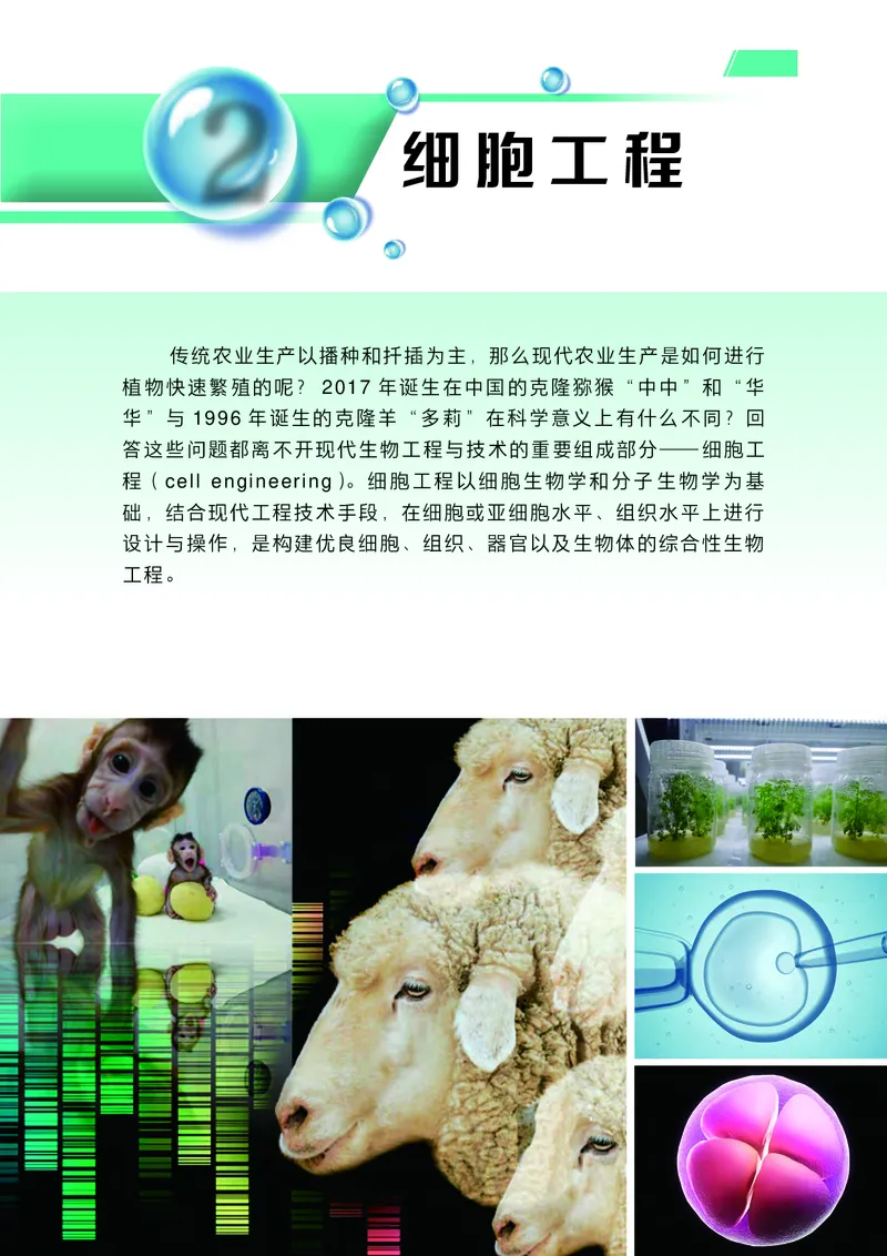 普通高中教科书生物学选择性必修3生物技术与工程_高中三年全科资料_高中_高中电子教材_高中生物学_沪科技版