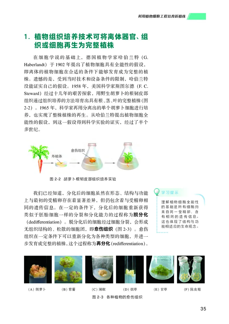 普通高中教科书生物学选择性必修3生物技术与工程_高中三年全科资料_高中_高中电子教材_高中生物学_沪科技版