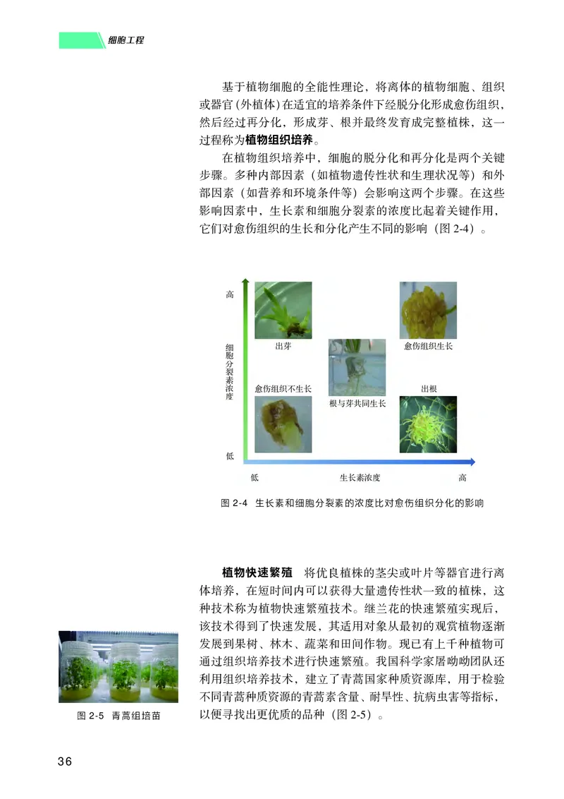 普通高中教科书生物学选择性必修3生物技术与工程_高中三年全科资料_高中_高中电子教材_高中生物学_沪科技版