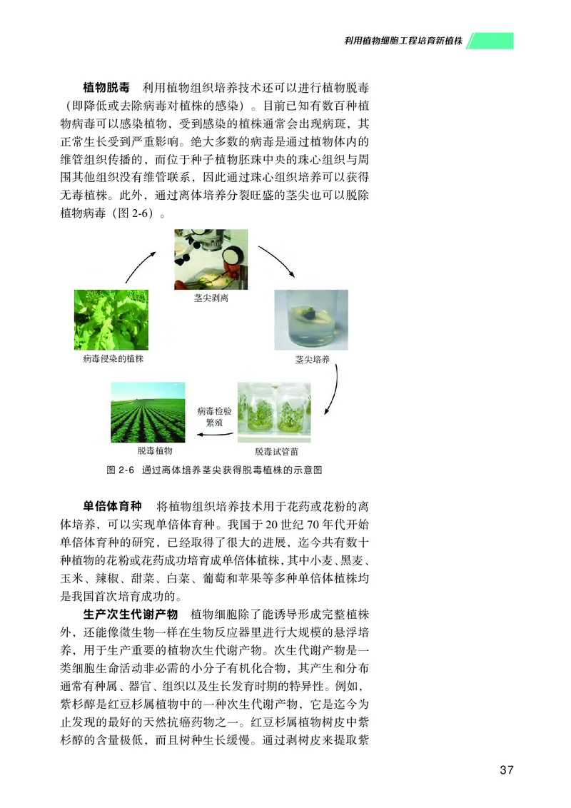 普通高中教科书生物学选择性必修3生物技术与工程_高中三年全科资料_高中_高中电子教材_高中生物学_沪科技版