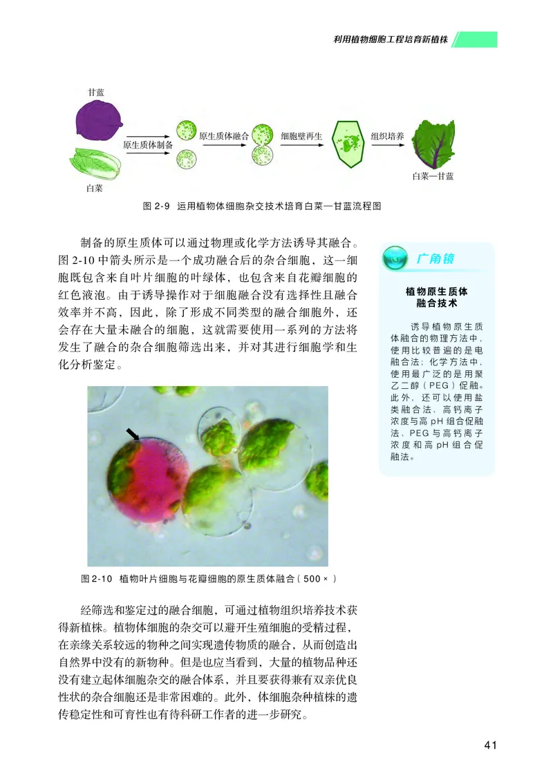 普通高中教科书生物学选择性必修3生物技术与工程_高中三年全科资料_高中_高中电子教材_高中生物学_沪科技版