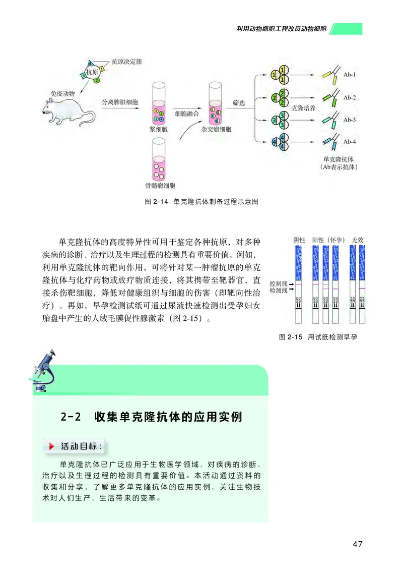 普通高中教科书生物学选择性必修3生物技术与工程_高中三年全科资料_高中_高中电子教材_高中生物学_沪科技版