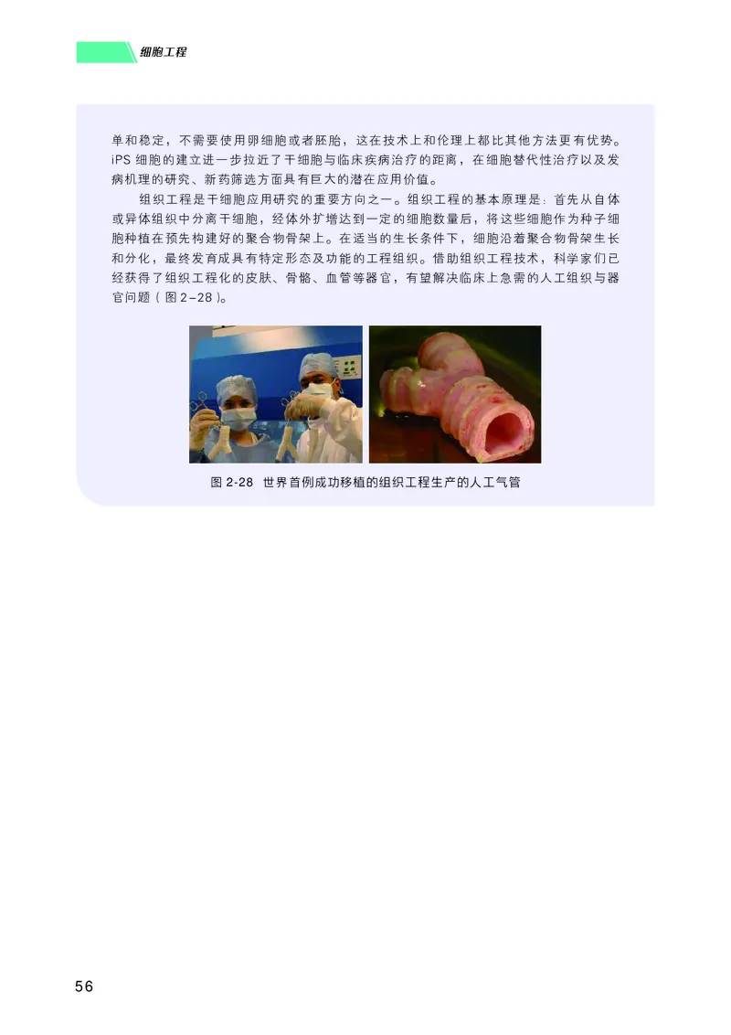 普通高中教科书生物学选择性必修3生物技术与工程_高中三年全科资料_高中_高中电子教材_高中生物学_沪科技版