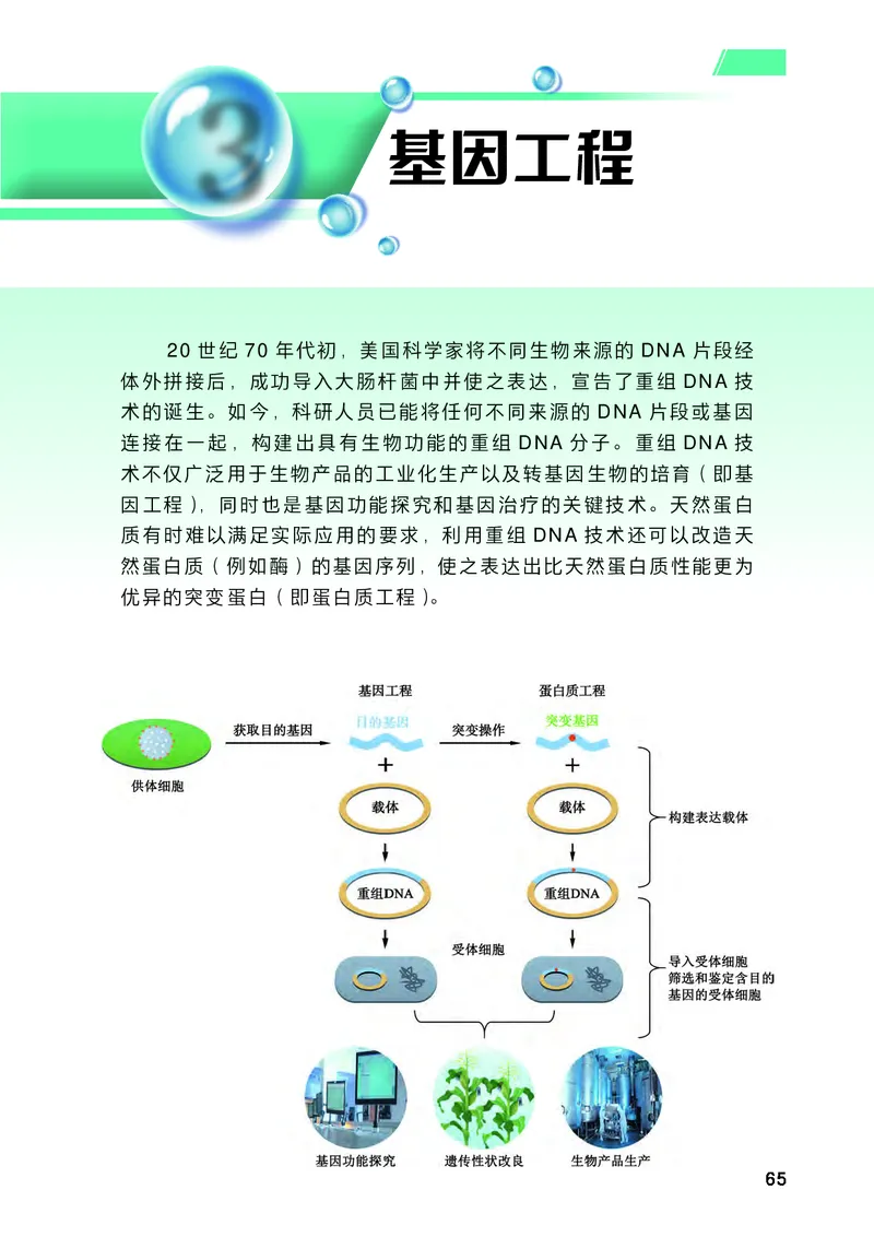 普通高中教科书生物学选择性必修3生物技术与工程_高中三年全科资料_高中_高中电子教材_高中生物学_沪科技版