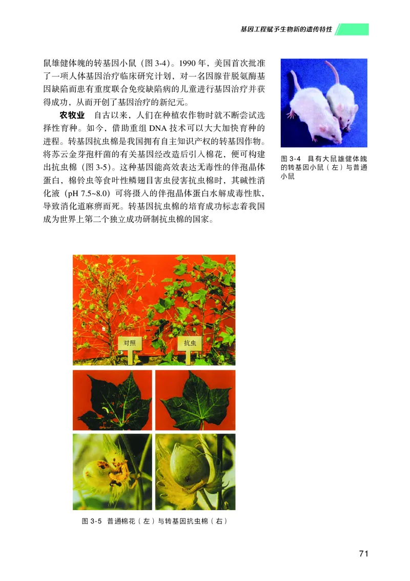 普通高中教科书生物学选择性必修3生物技术与工程_高中三年全科资料_高中_高中电子教材_高中生物学_沪科技版