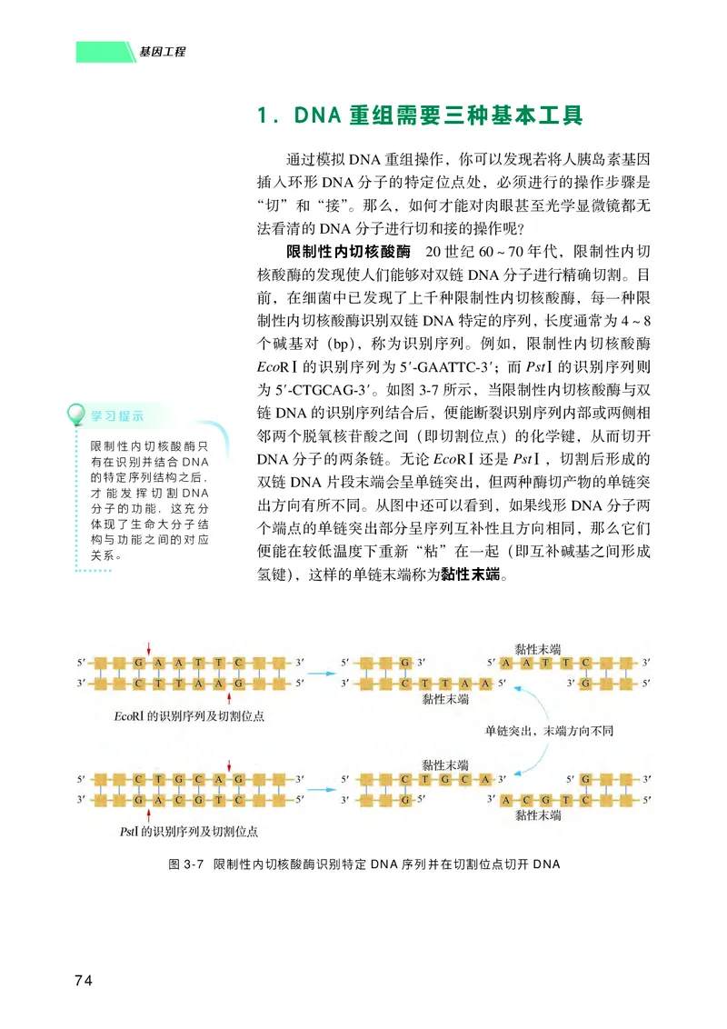 普通高中教科书生物学选择性必修3生物技术与工程_高中三年全科资料_高中_高中电子教材_高中生物学_沪科技版