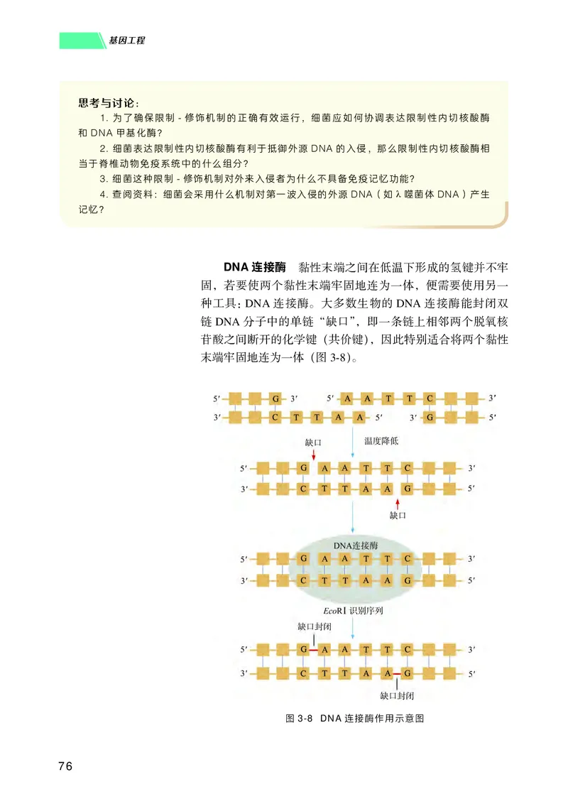 普通高中教科书生物学选择性必修3生物技术与工程_高中三年全科资料_高中_高中电子教材_高中生物学_沪科技版