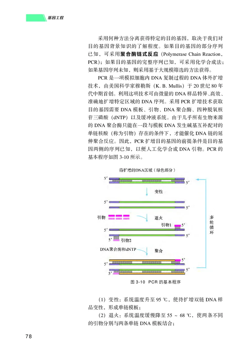 普通高中教科书生物学选择性必修3生物技术与工程_高中三年全科资料_高中_高中电子教材_高中生物学_沪科技版