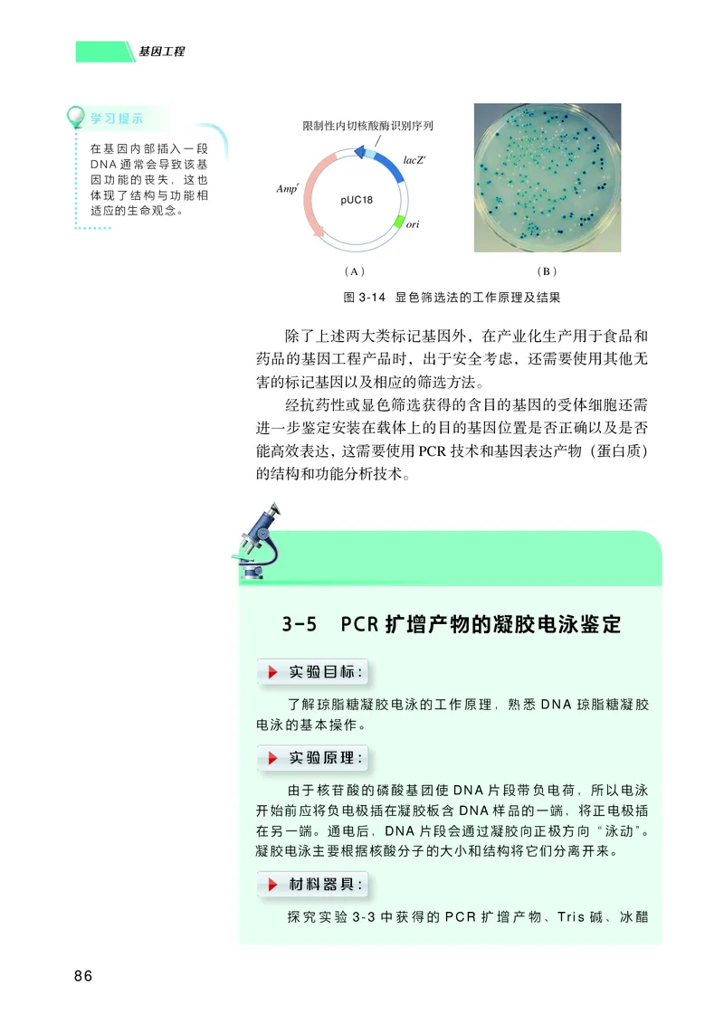 普通高中教科书生物学选择性必修3生物技术与工程_高中三年全科资料_高中_高中电子教材_高中生物学_沪科技版
