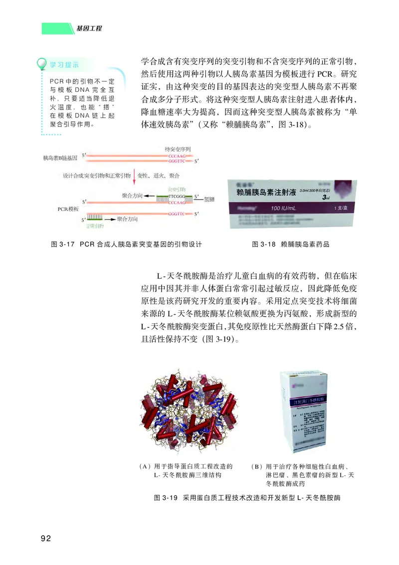 普通高中教科书生物学选择性必修3生物技术与工程_高中三年全科资料_高中_高中电子教材_高中生物学_沪科技版