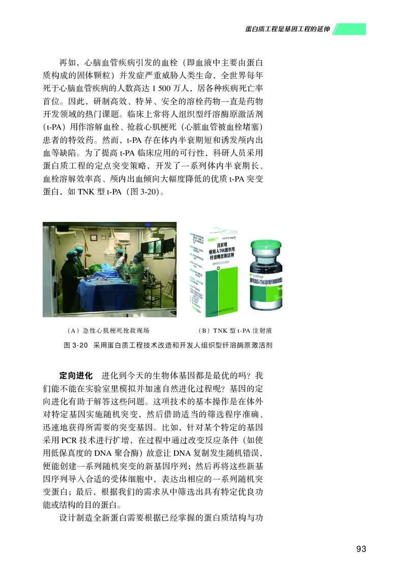普通高中教科书生物学选择性必修3生物技术与工程_高中三年全科资料_高中_高中电子教材_高中生物学_沪科技版