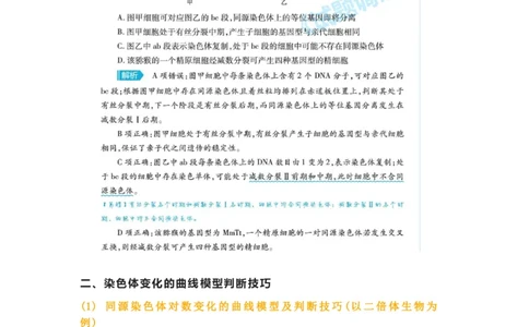 构建模型，解减数分裂疑难问题_高中三年全科资料_高中_1高中基础资料包_A-高中必背9科知识点_生物