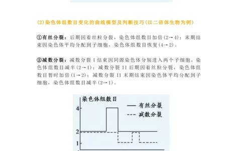 构建模型，解减数分裂疑难问题_高中三年全科资料_高中_1高中基础资料包_A-高中必背9科知识点_生物