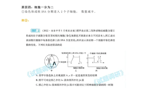 构建模型，解减数分裂疑难问题_高中三年全科资料_高中_1高中基础资料包_A-高中必背9科知识点_生物
