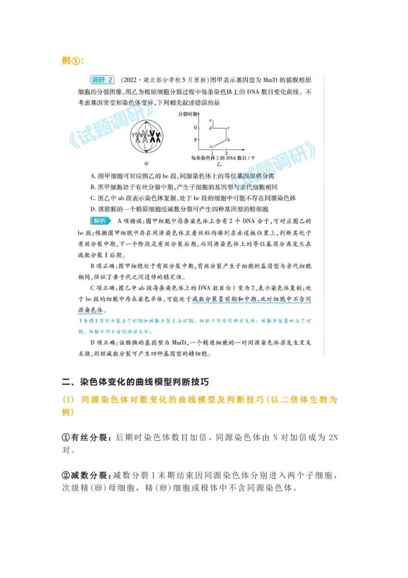 构建模型，解减数分裂疑难问题_高中三年全科资料_高中_1高中基础资料包_A-高中必背9科知识点_生物