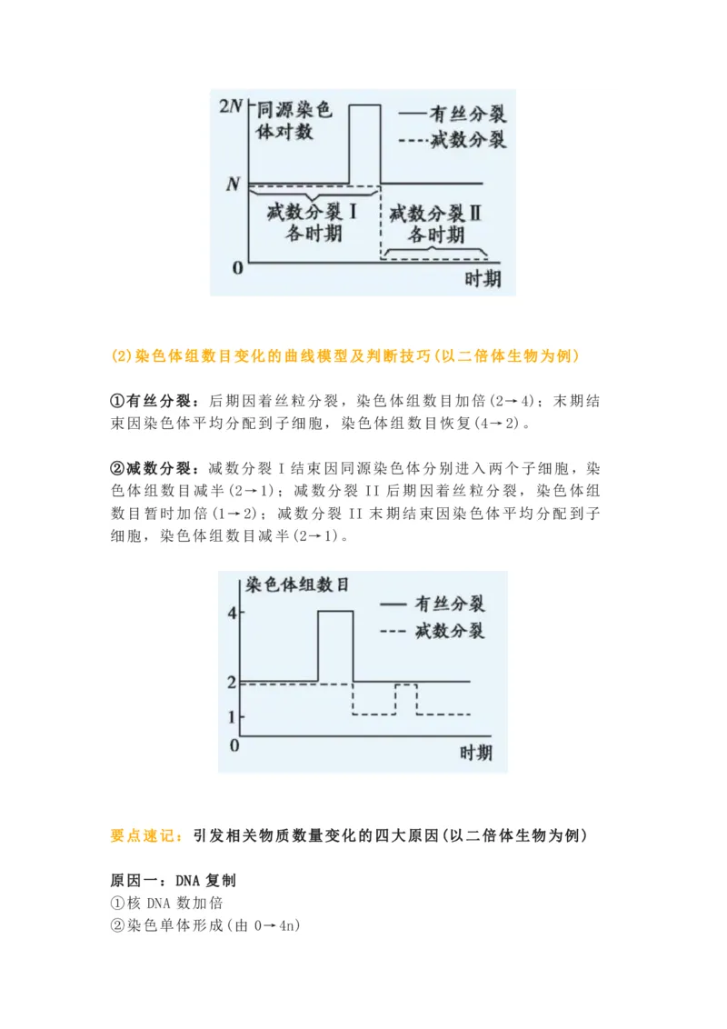 构建模型，解减数分裂疑难问题_高中三年全科资料_高中_1高中基础资料包_A-高中必背9科知识点_生物