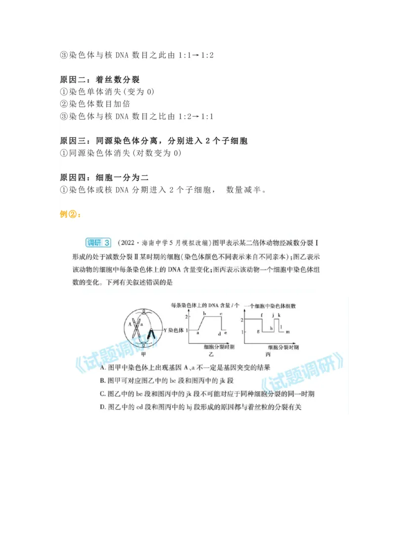 构建模型，解减数分裂疑难问题_高中三年全科资料_高中_1高中基础资料包_A-高中必背9科知识点_生物
