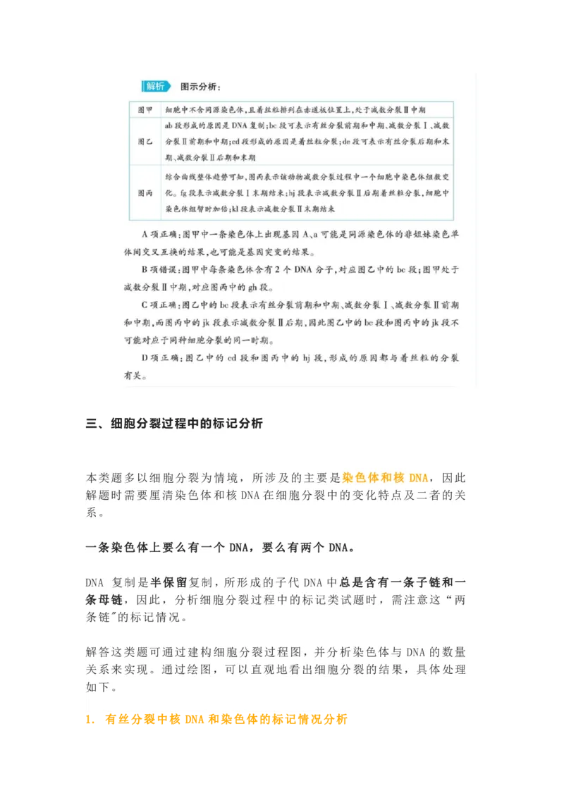 构建模型，解减数分裂疑难问题_高中三年全科资料_高中_1高中基础资料包_A-高中必背9科知识点_生物