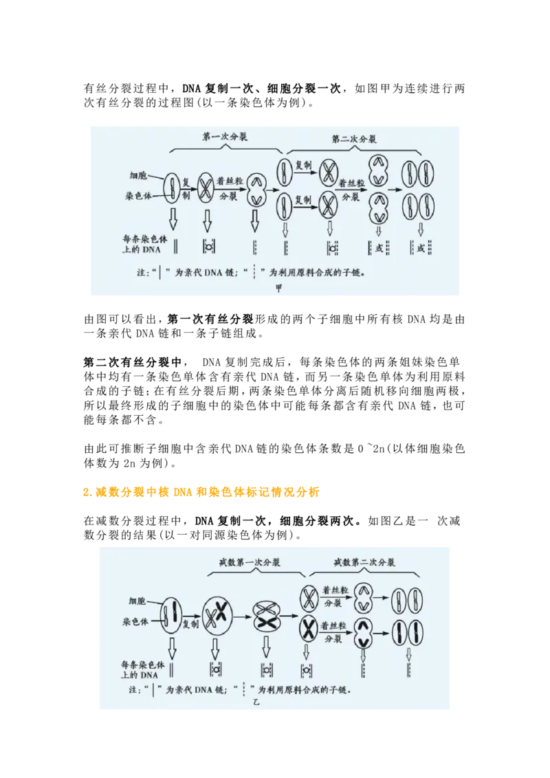 构建模型，解减数分裂疑难问题_高中三年全科资料_高中_1高中基础资料包_A-高中必背9科知识点_生物