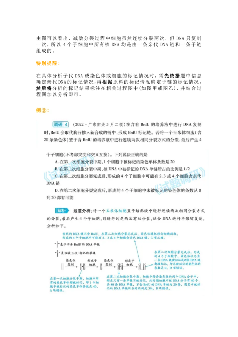 构建模型，解减数分裂疑难问题_高中三年全科资料_高中_1高中基础资料包_A-高中必背9科知识点_生物
