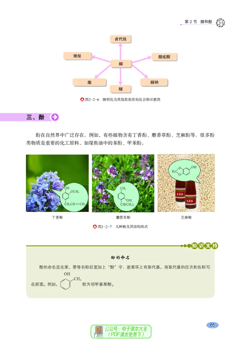 普通高中教科书化学选择性必修3有机化学基础_高中三年全科资料_高中_高中电子教材_高中化学_鲁科版