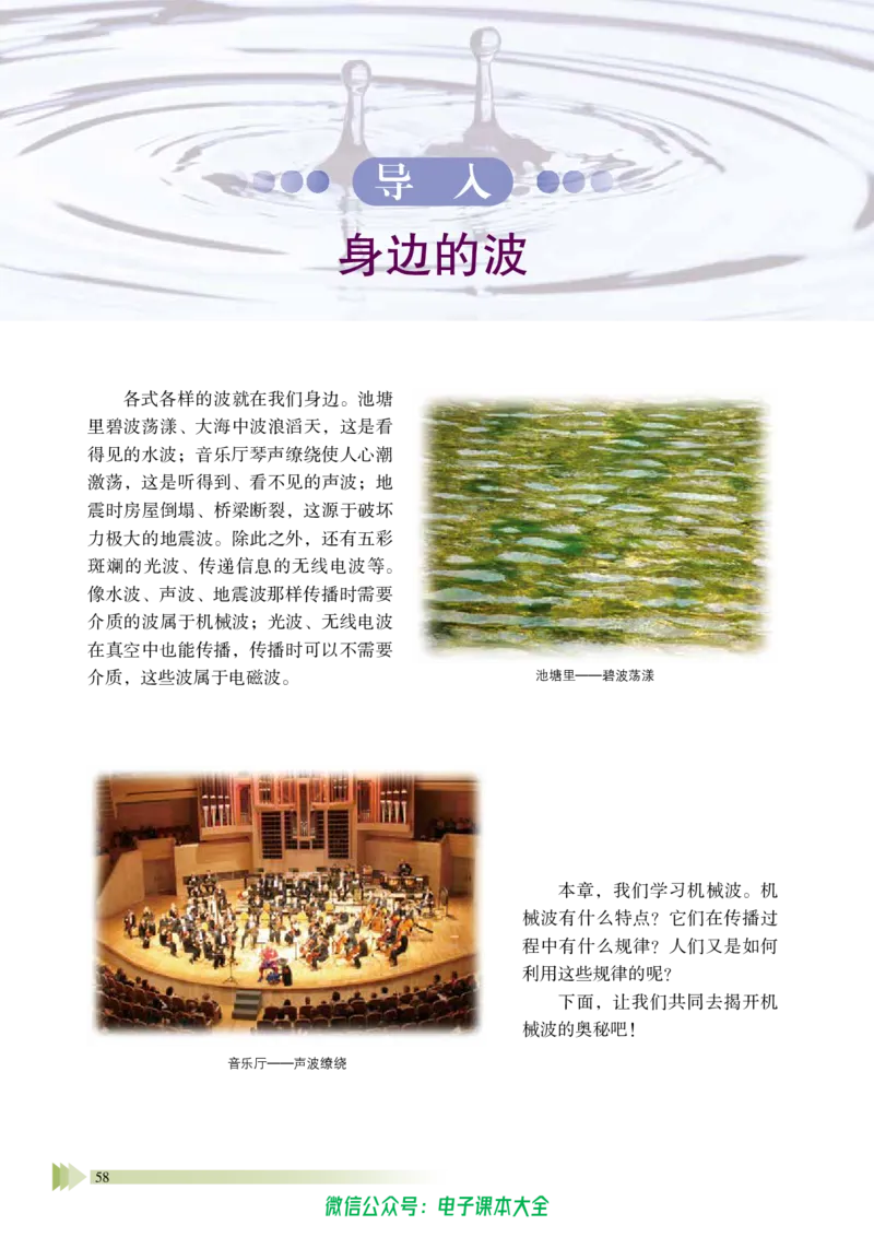 普通高中教科书物理选择性必修第一册_高中三年全科资料_高中_高中电子教材_高中物理_鲁科版