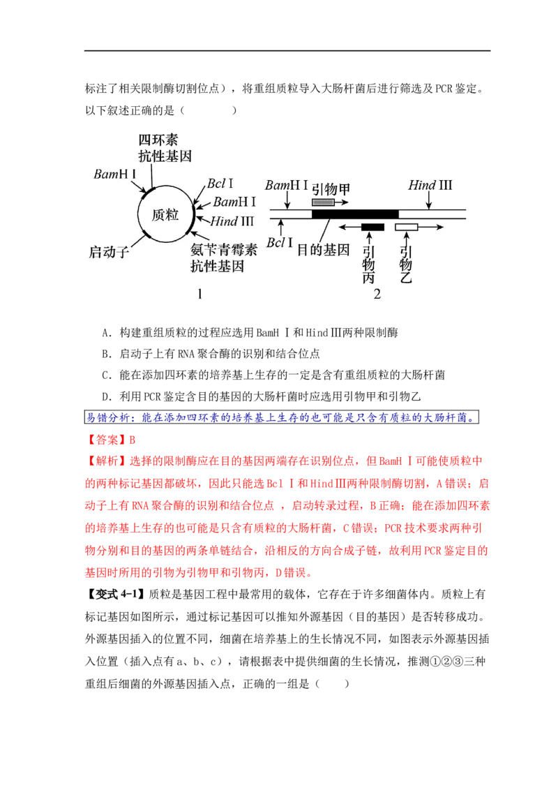 易错点17生物工程的&ldquo;四个&rdquo;不相等（解析版）_高中三年全科资料_高中_15高中全科《高考易错题》2025版_高考生物备战2025年高考易错题（新高考专用）_教师版（含答案解析）