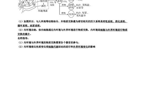 第1章人体的内环境与稳态期末复习知识点总结新教材人教版高中生物选择性必修一_高中三年全科资料_高中_1高中基础资料包_A-高中必背9科知识点_生物_高中生物全书知识点梳理+总结