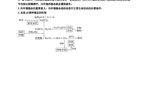 第1章人体的内环境与稳态期末复习知识点总结新教材人教版高中生物选择性必修一_高中三年全科资料_高中_1高中基础资料包_A-高中必背9科知识点_生物_高中生物全书知识点梳理+总结