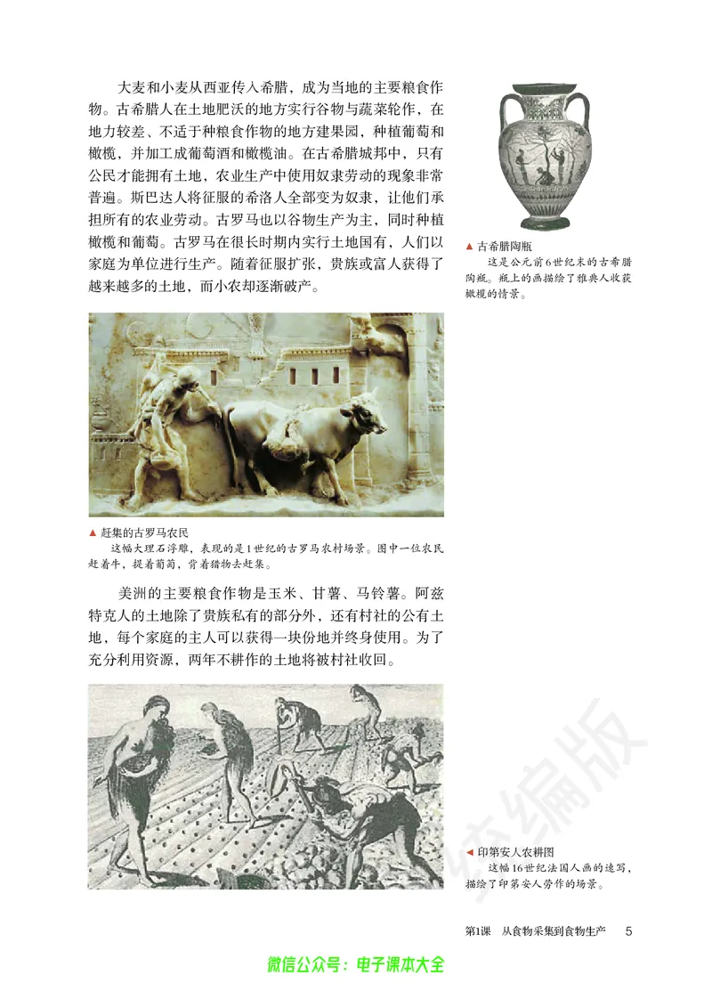 普通高中教科书历史选择性必修2经济与社会生活_高中三年全科资料_高中_高中电子教材_高中历史_旧